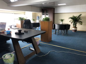 成都想象力企业管理咨询 专业代理记账与企业管理咨询一站式服务